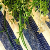 现货30S斑纹繁星间条针织时尚男装女装裙装上衣T恤轻薄透气