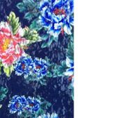 现货数码蕾丝印花面料