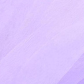 20d牛奶纱 绣花窗纱 厂家直销