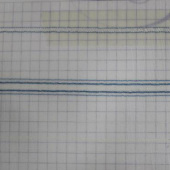 叶子花 条纹全涤梭织时尚女装面料