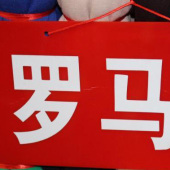 全涤针织竹节罗马布服装面料厂家直销