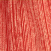 涤棉素色针织空气层服装面料