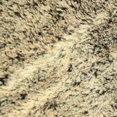 现货全棉染色梭织绒布面料