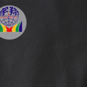 厂家 直销 全棉有彩色系列款棉布料 休闲面料 147-150cm