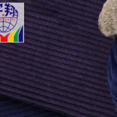 棉类布料 弹力灯芯绒 14W双股素色条绒布棉衣夹克外套服装面料