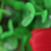 涤棉斜纹卡其布服装鞋料TC80/20 21*21 108*58