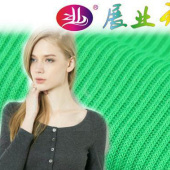 ZY100超薄涤2*2罗纹 超薄面料莱卡面料 夏装面料 厂家直销