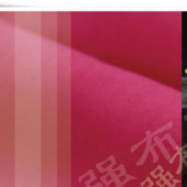 现货 ZLX005 涤棉府绸 无弹 春夏 里布口袋布面料