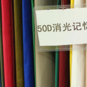 全工艺（涂层防水防静电） 涤纶梭织50D消光仿记忆布上衣羽绒面料