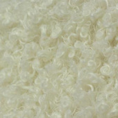 小羊卷面料 全涤针织面料 服务用布
