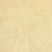 染色全涤针织 超柔短毛绒