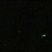 全涤染色韩国绒 经编面料 服装/玩具布