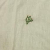 仙人掌厚棉布 梭织服装面料
