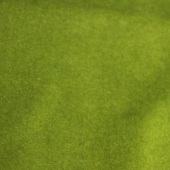 染色 梭织 全棉平绒