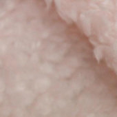 现货染色汽绒服装面料