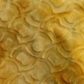 缤彩花绒面料 全涤刷花经编布 服装面料玩具用布 现货供应