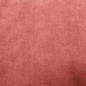 梭织 染色经编丽丝绒