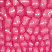 pv绒压膜针织化纤面料 现货多色可供 厚实型冬季保暖服装面料