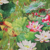 梭织 全棉活性印花