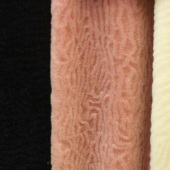 160CM门幅全羊毛针织女装面料