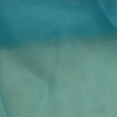 梭织 涤纶 欧根纱 染色