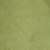 涤纶 梭织 三根并冰纱