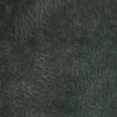 涤棉不倒绒针织布