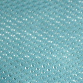 服装面料染色纬编涤纶鸟眼布