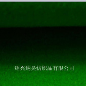 全毛双面顺毛 800克每米 毛呢面料 粗纺梭织 毛纺面料 叶绿色