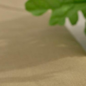 现货热销36条弹力莫代尔50%棉灯芯绒梭织裤装裙装外套棉服