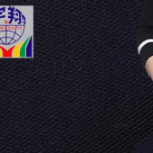棉锦弹力布料 厂家直销供应 梭织类斜纹素色面料 服装时装用布