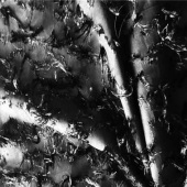 有光丝剪花 全涤面料 女装连衣裙上衣裙子面料