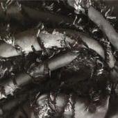 有光丝剪花 全涤舒适亲肤面料 女装连衣裙上衣裙子面料