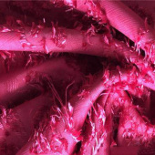 有光丝剪花雪纺 小菊花图案大量现货 连衣裙上衣裙子精品面料