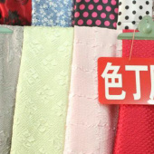 全涤 梭织 女装 色丁压花