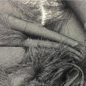 现货全涤剪花布 连衣裙礼服高档女装面料 服装面料典雅时尚