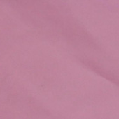 300T尼龙尼丝纺 尼龙服装面料