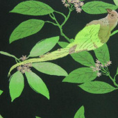 现货染色梭织涤棉提花服装面料
