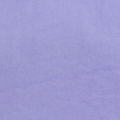 起皱尼龙布 梭织女装面料