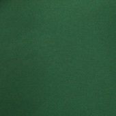 涤纶染色服装外套面料