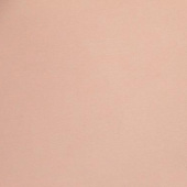 涤纶染色羽绒服棉衣夹克面料