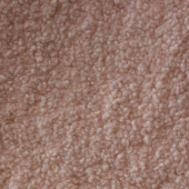 泰迪绒 针织外套上衣面料