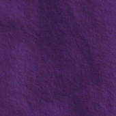 20D低弹 全涤梭织服装面料