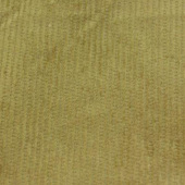 全棉8条灯芯绒 服装衬衫帽子面料
