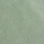 锦涤21条灯芯绒 服装衬衫帽子面料