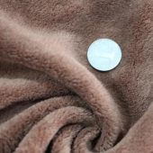 现货全涤珊瑚绒服装面料