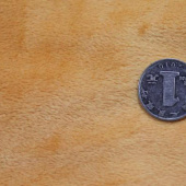 全涤针织染色超绒面料