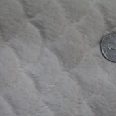 全涤针织染色小兔毛服装面料