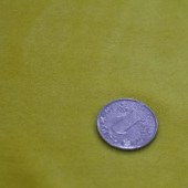 银狐绒 全涤针织服装面料