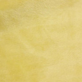 高弹不倒绒 全涤针织服装面料